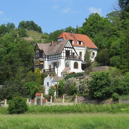 Ferienwohnung Elbsommer Am Weinberg Майсен Екстериор снимка