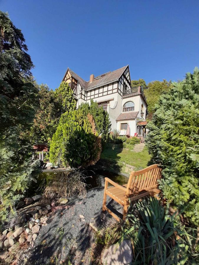 Ferienwohnung Elbsommer Am Weinberg Майсен Екстериор снимка
