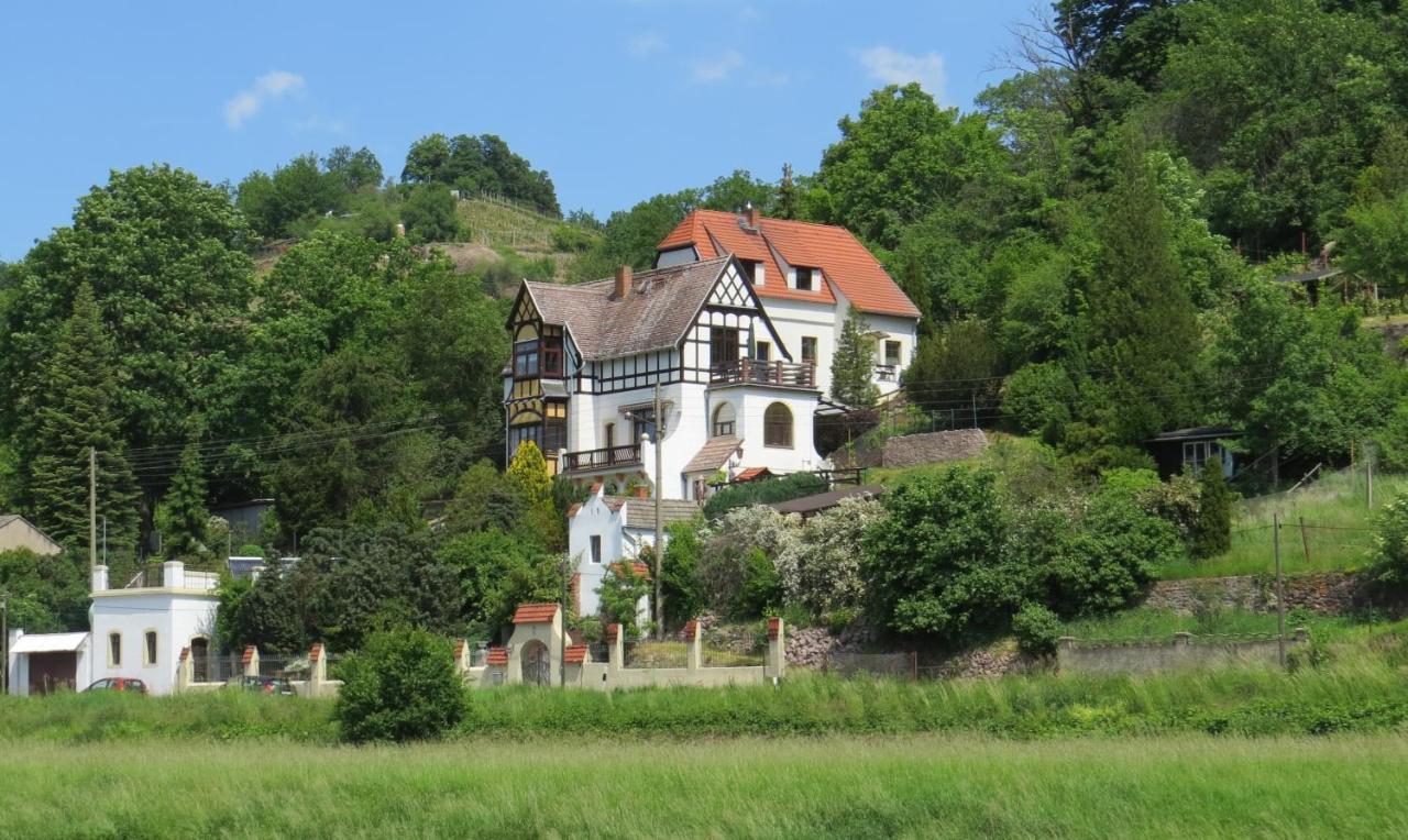 Ferienwohnung Elbsommer Am Weinberg Майсен Екстериор снимка