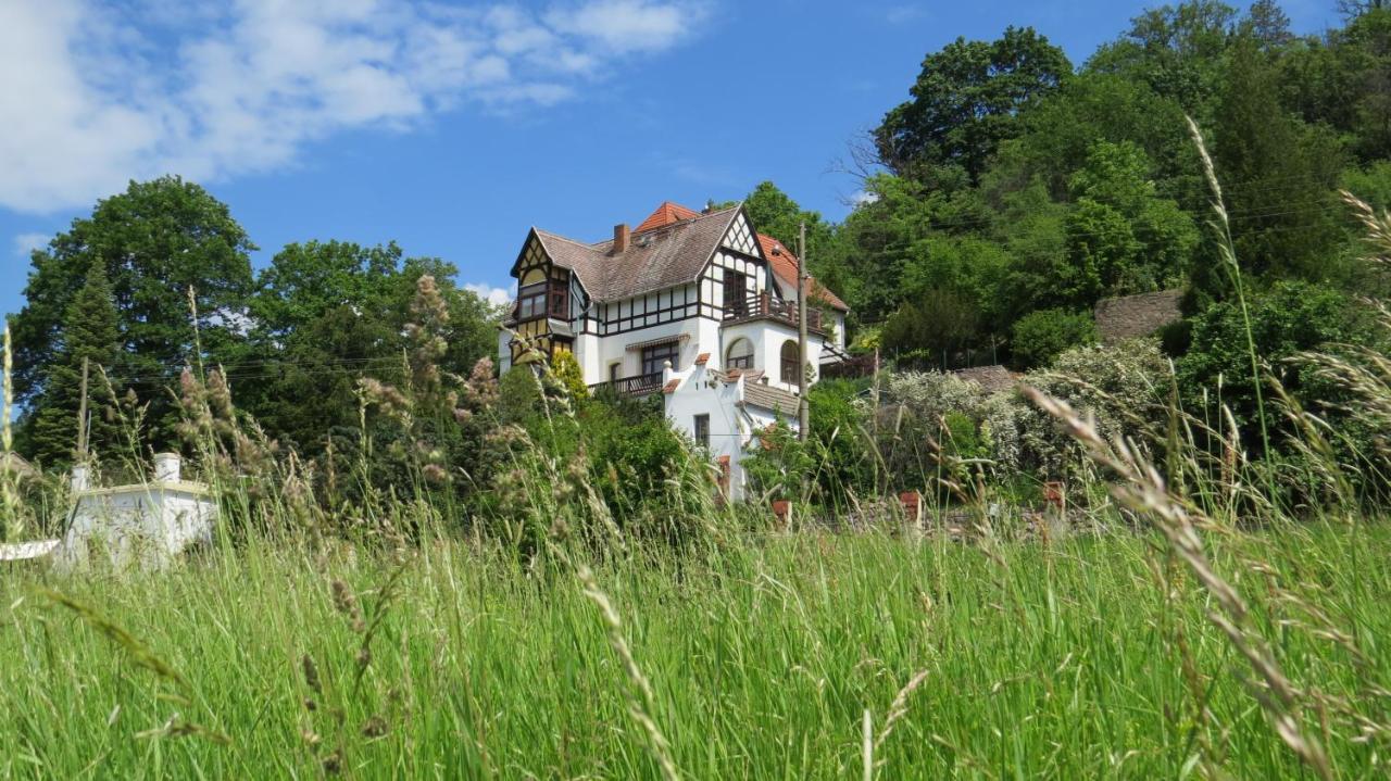 Ferienwohnung Elbsommer Am Weinberg Майсен Екстериор снимка